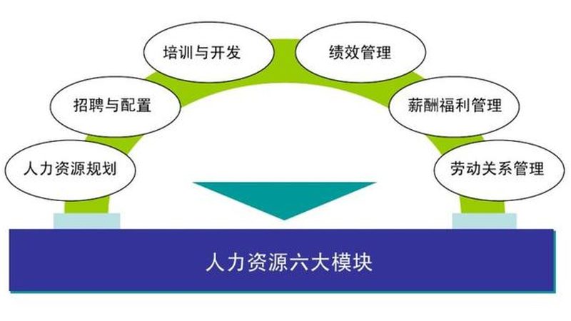 劳务定制服务：批发市场新趋势下的用工优化之道**